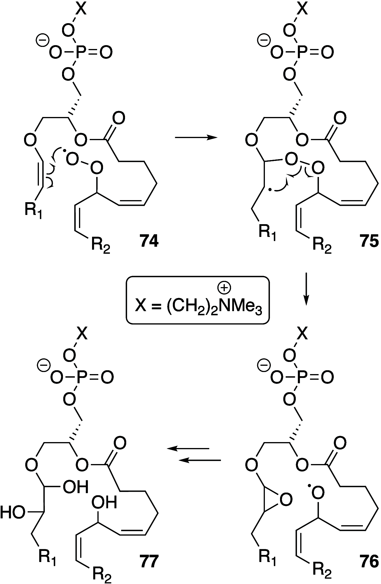 Scheme 10