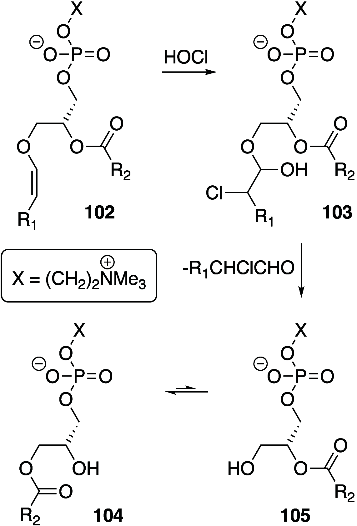 Scheme 13