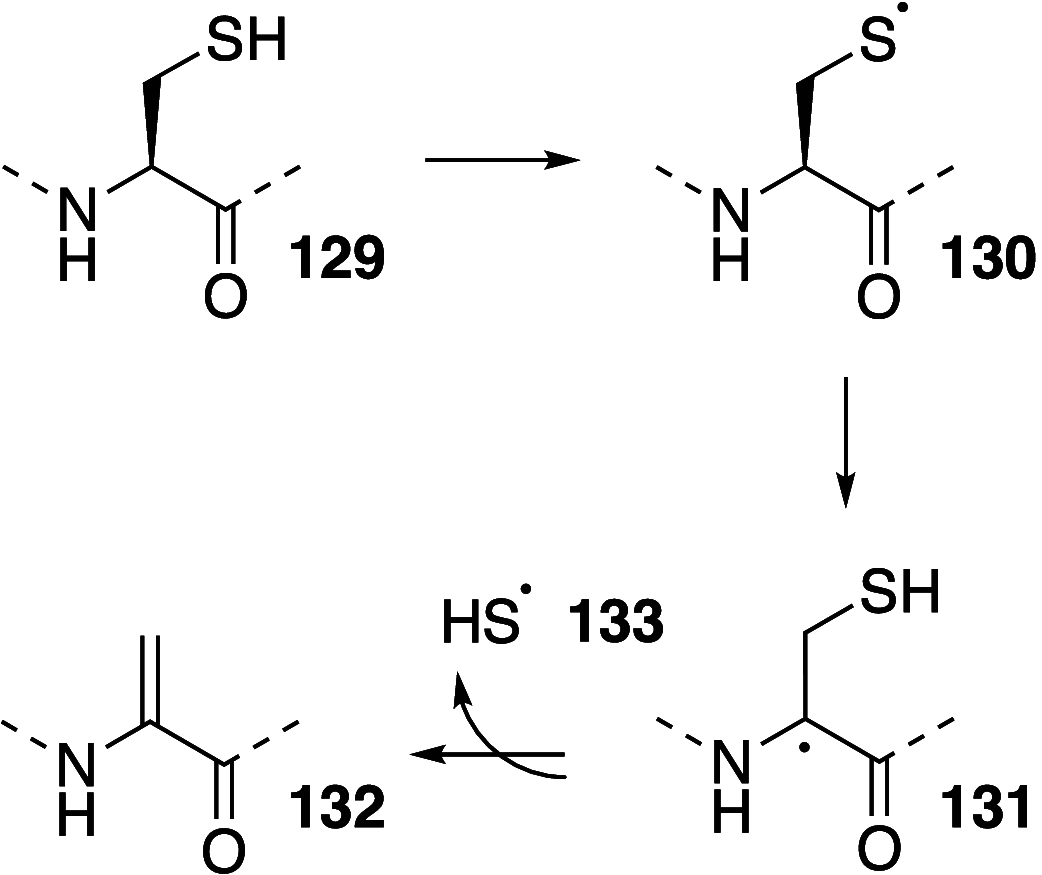 Scheme 18