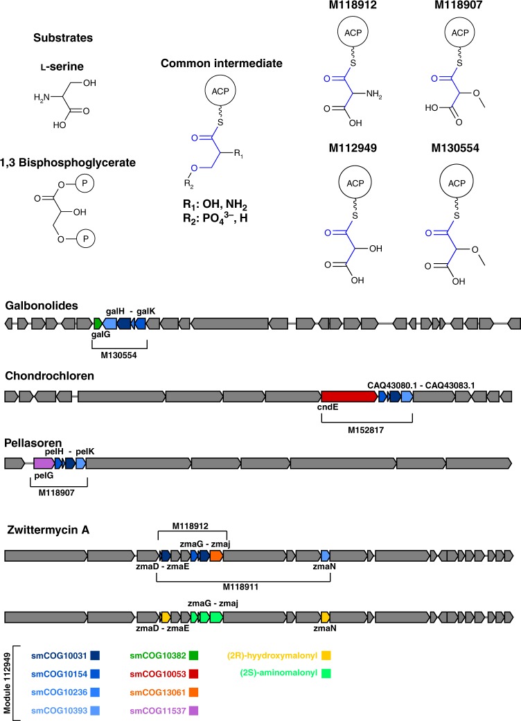 Fig. 3