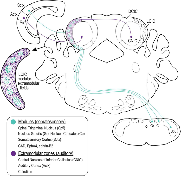 Figure 12.