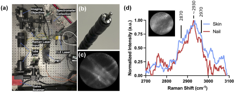 Fig. 2.