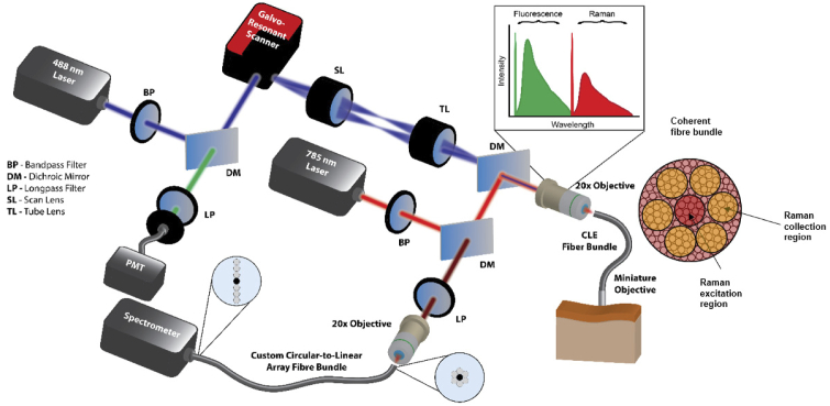 Fig. 1.