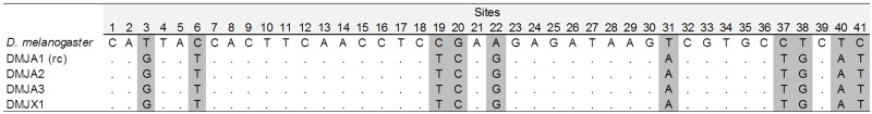 Fig. 3.—