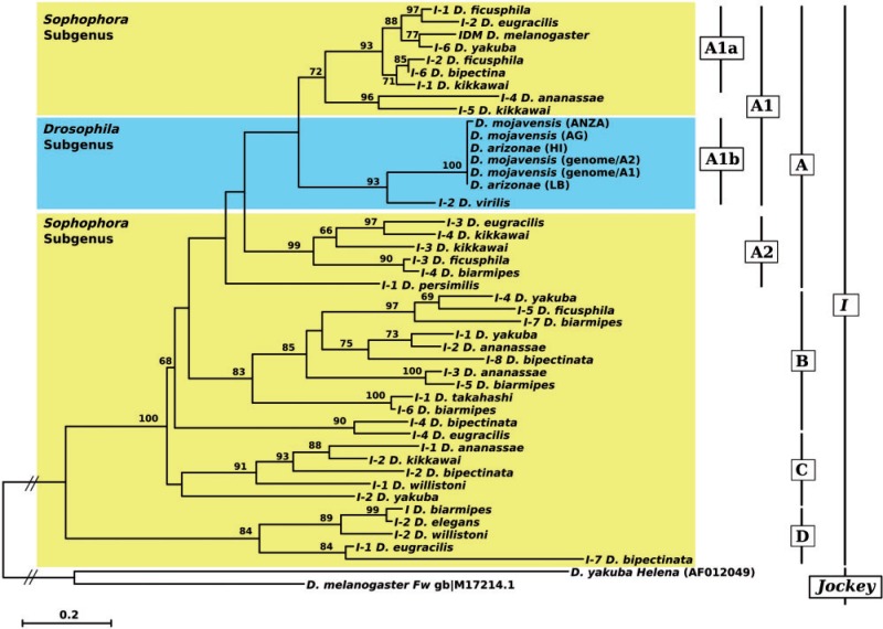 Fig. 4.—