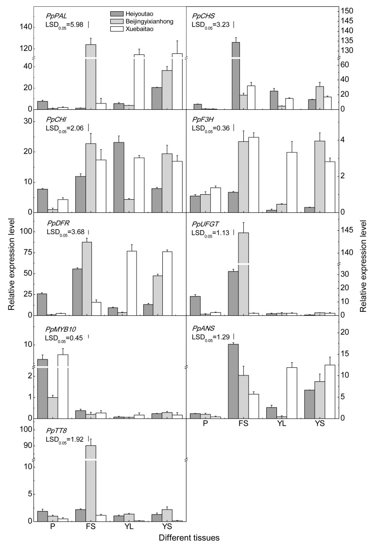 Fig. 7