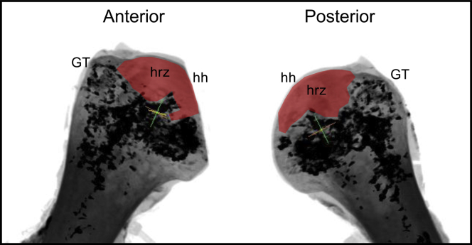 Figure 5