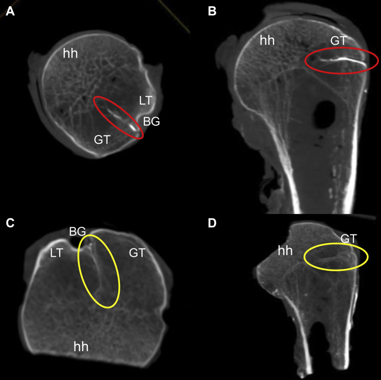 Figure 3