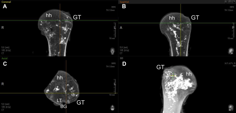 Figure 4