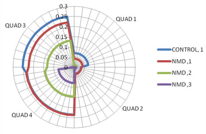 Radar plot showing quadrant relative surface area (RSA) by groups.