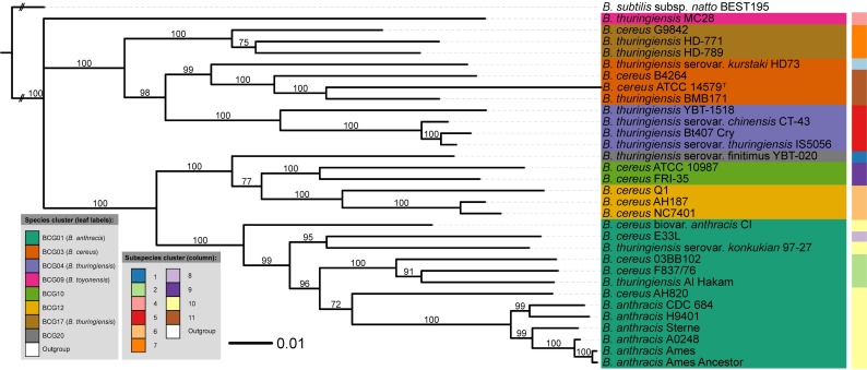 Fig 4