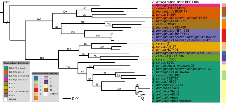 Fig 6