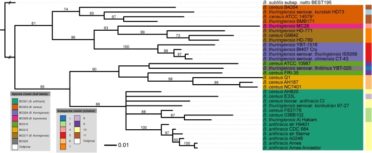 Fig 5