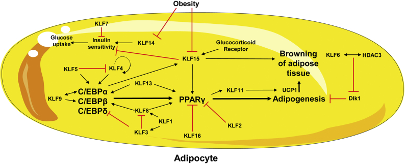 Figure 4