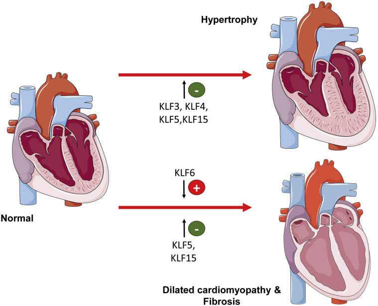 Figure 6