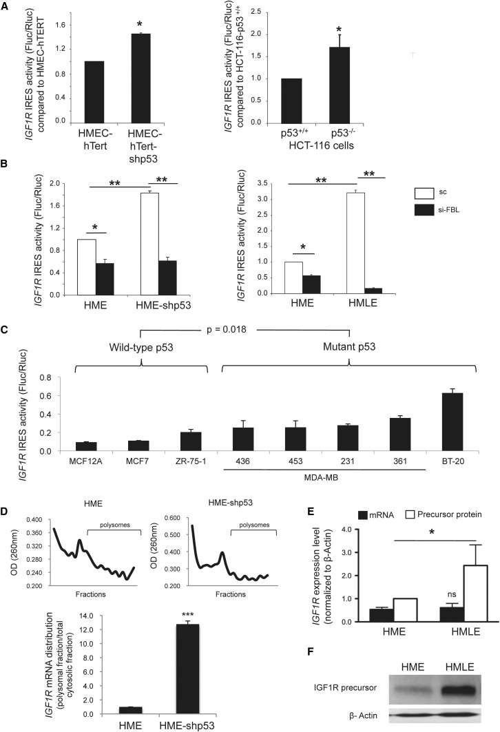 Figure 6