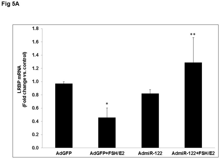 Fig 5