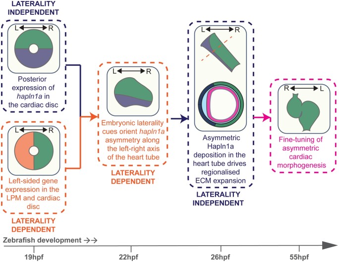 graphic file with name cvab004f8.jpg