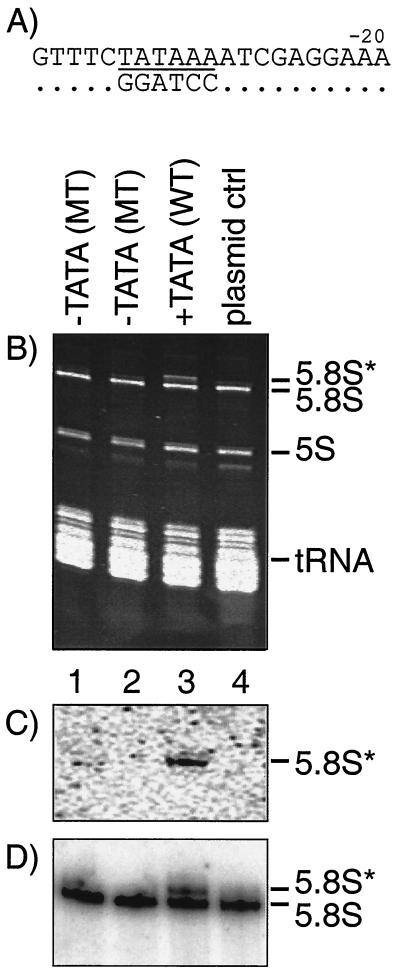 FIG. 6