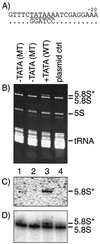 FIG. 6