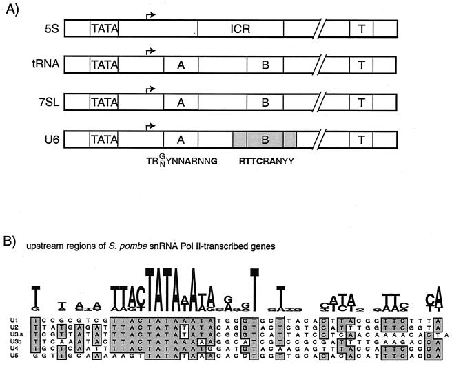 FIG. 7