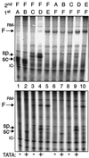 FIG. 5