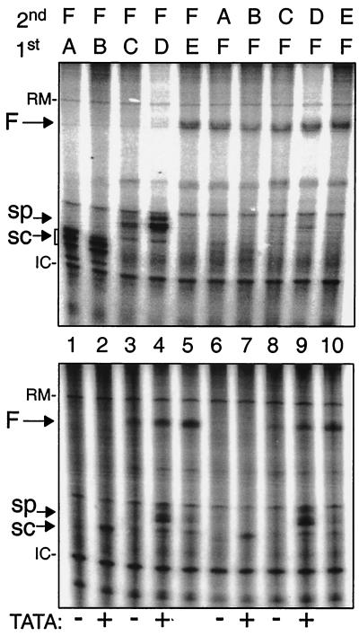 FIG. 5