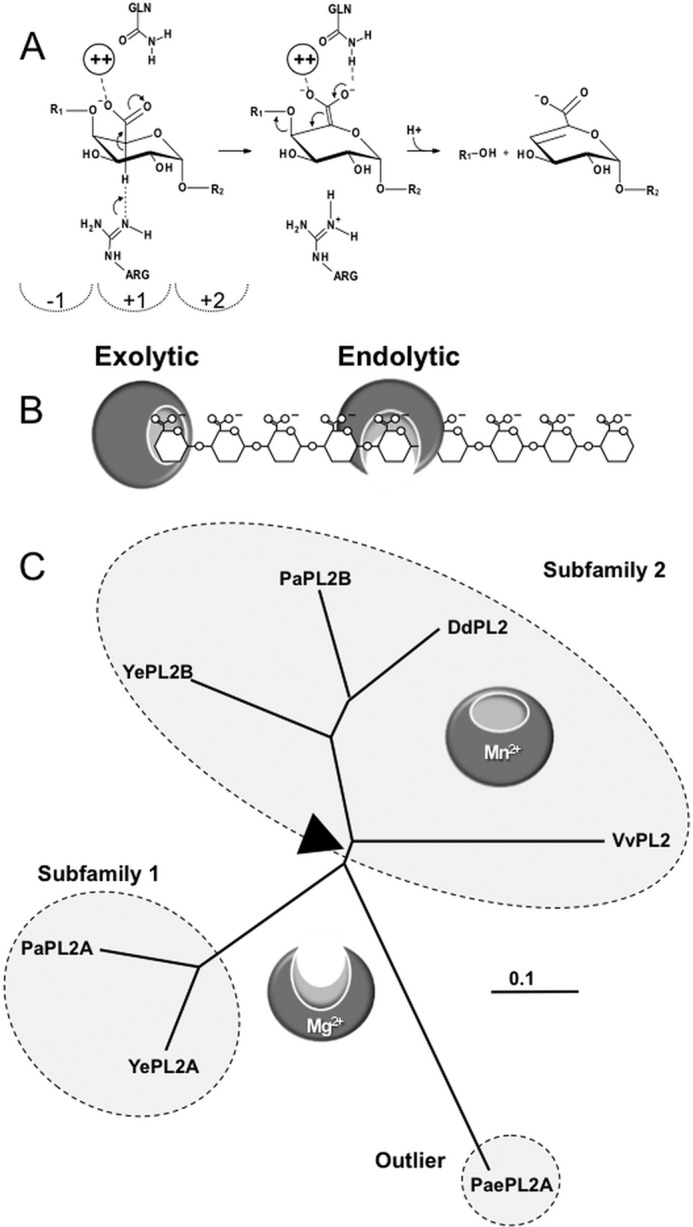 FIGURE 1.