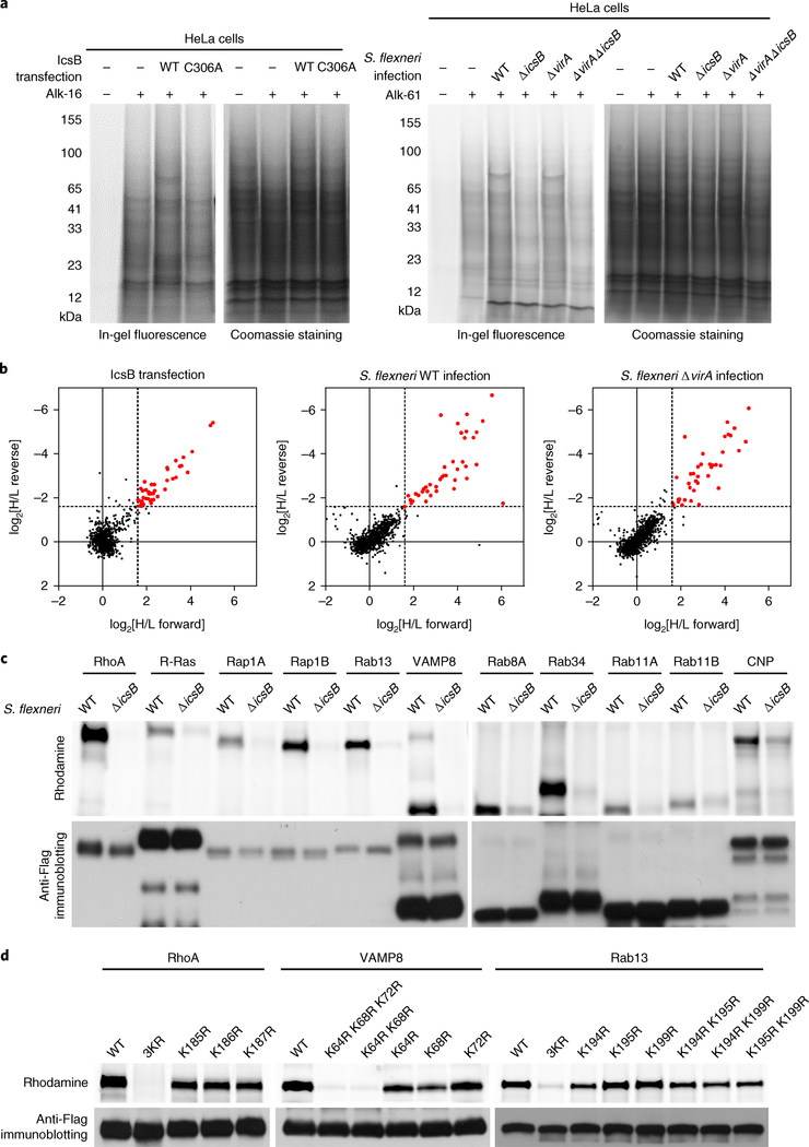 Fig. 4 |