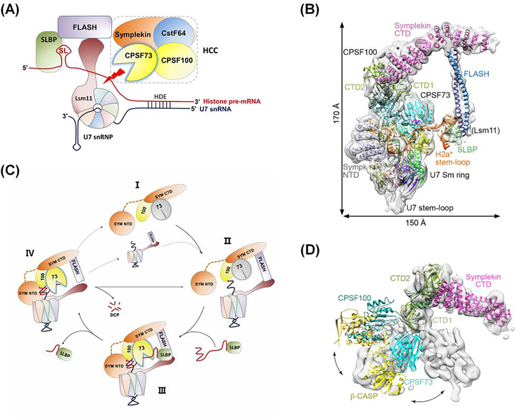 Figure 2.