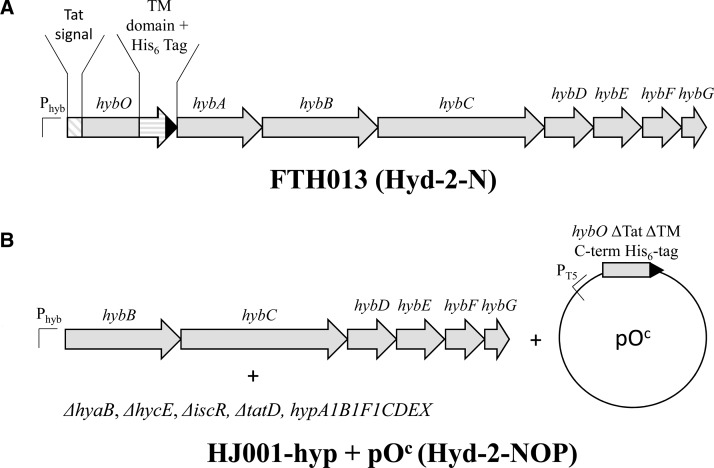 Figure 1.