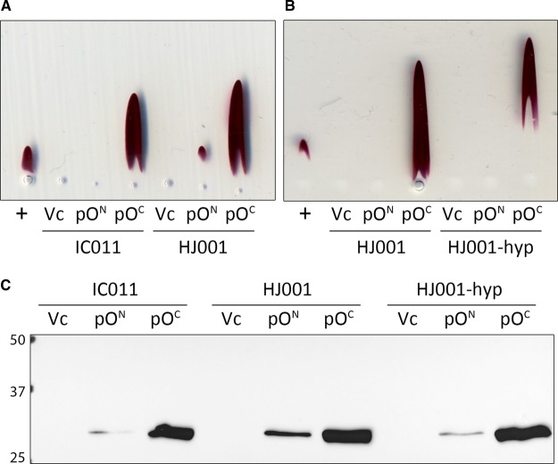 Figure 2.