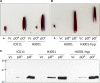 Figure 2.