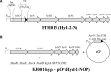 Figure 1.