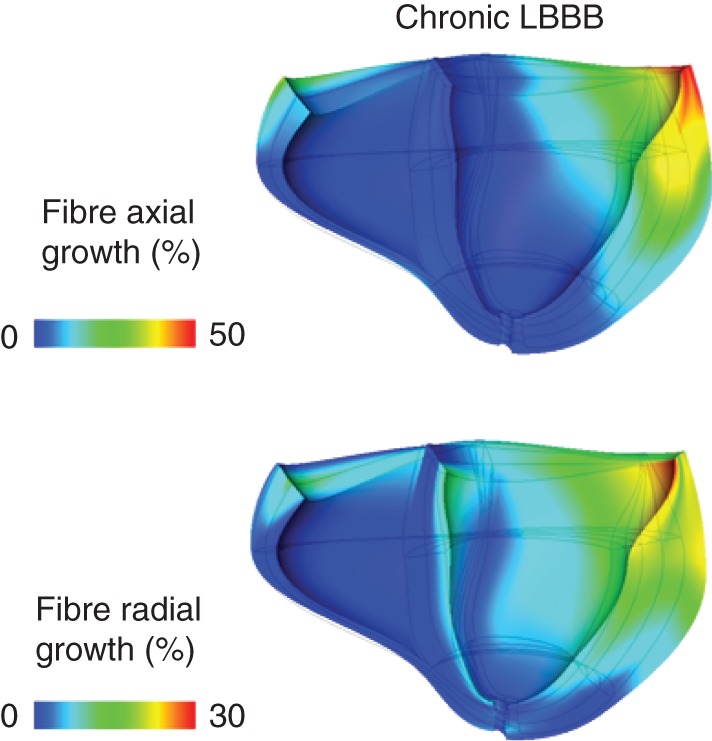 Figure 5