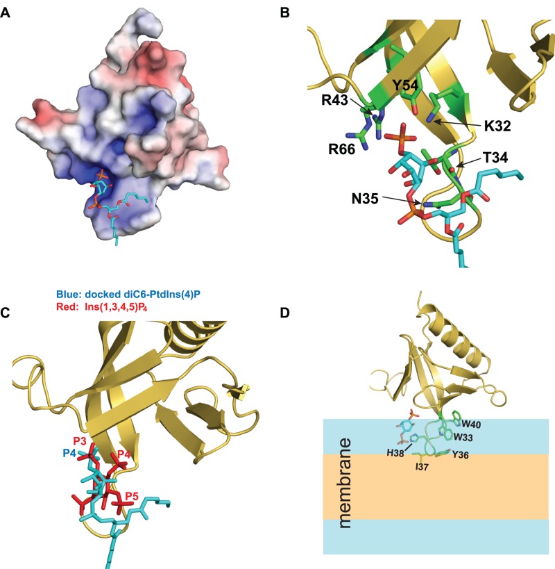 Figure 4