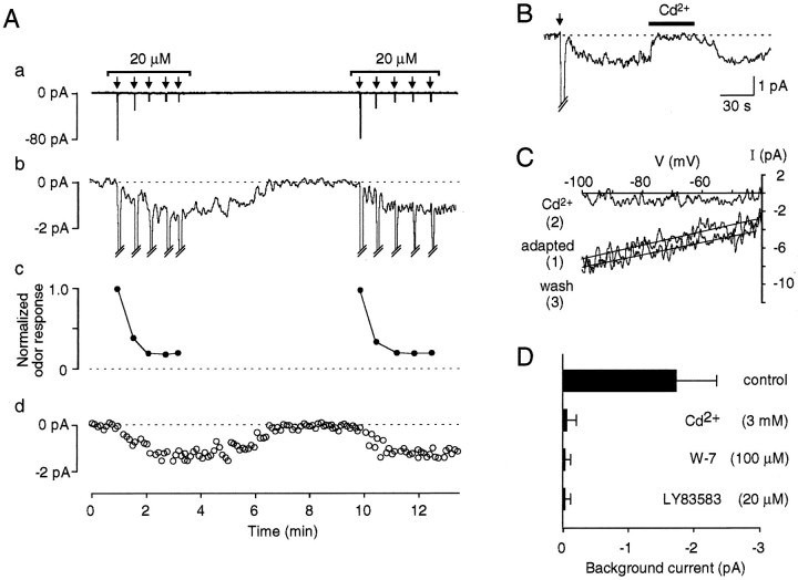 Fig. 2.