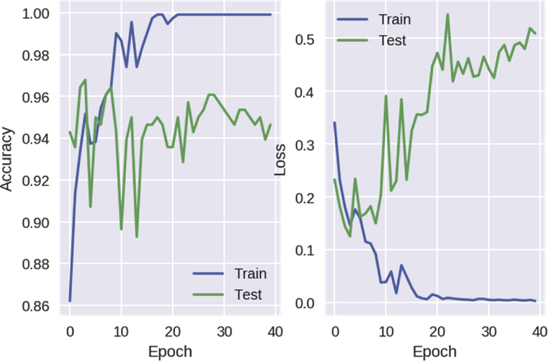 Fig. 3
