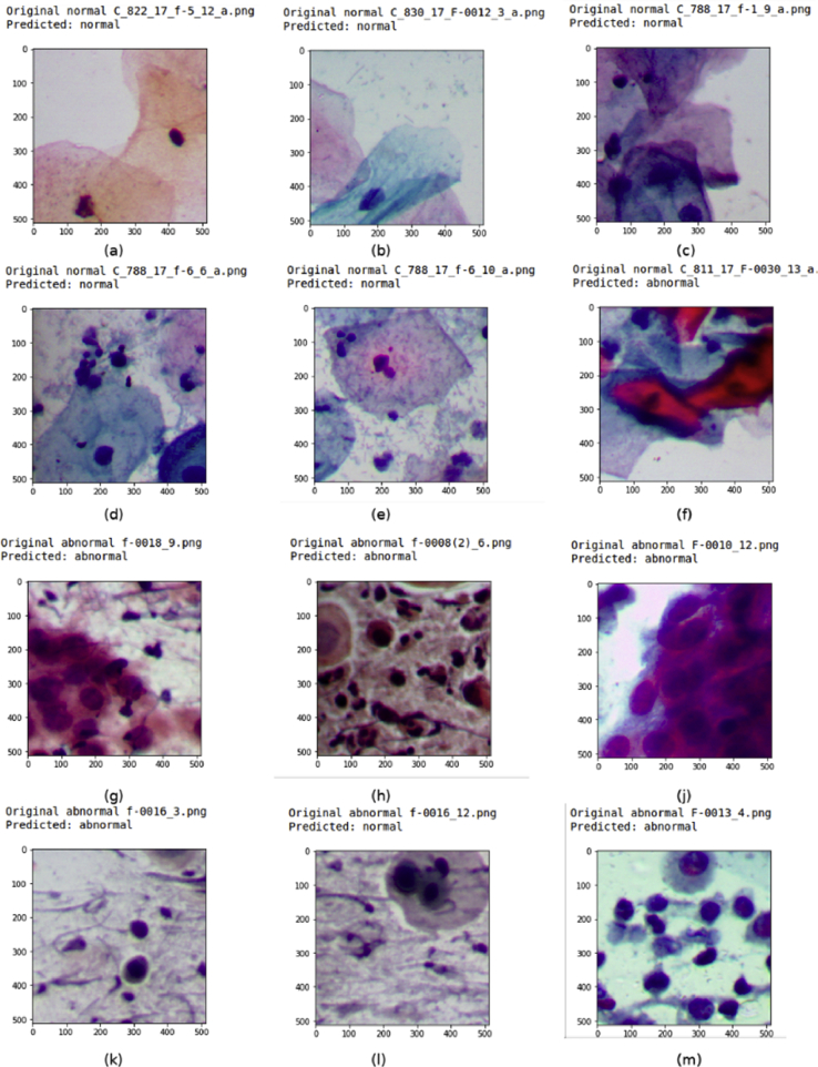 Fig. 4