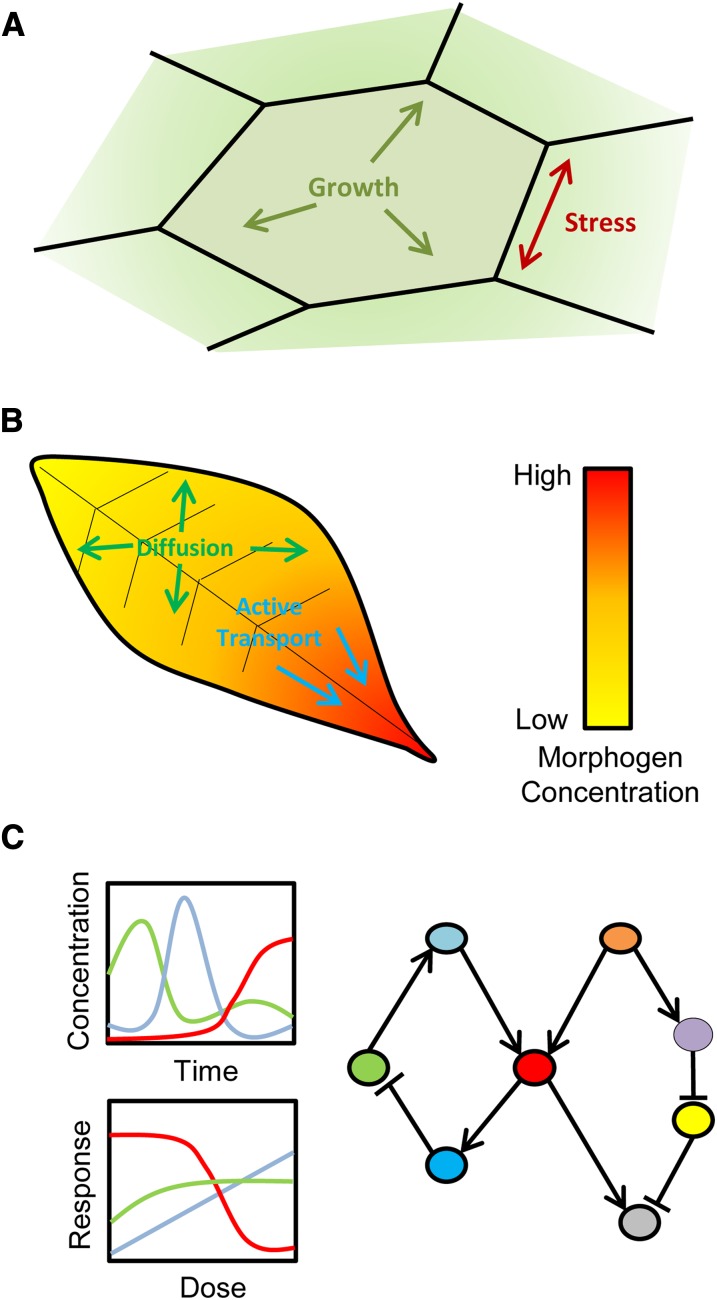 Figure 4.