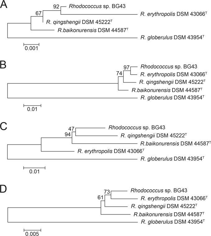 FIG 1