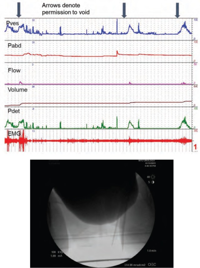 Figure 2.
