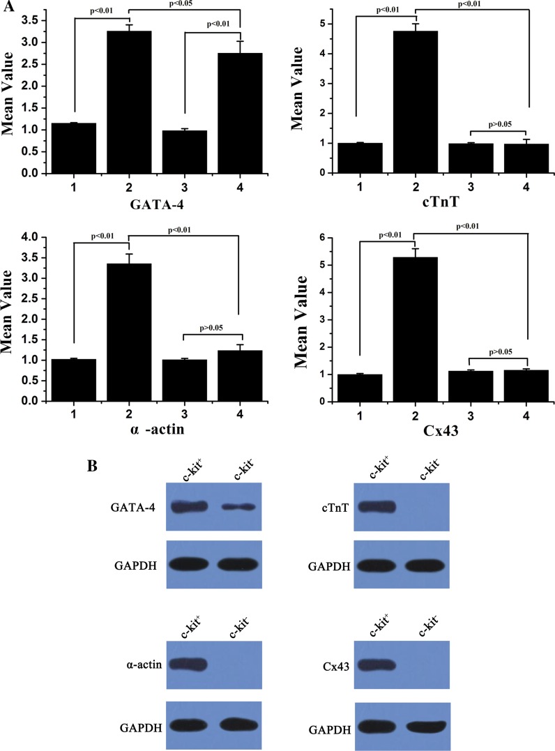 Fig. 6