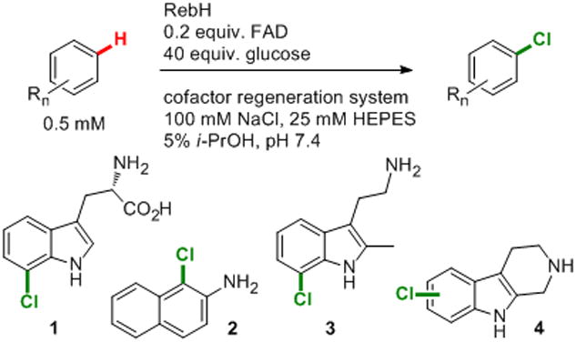 Scheme 2