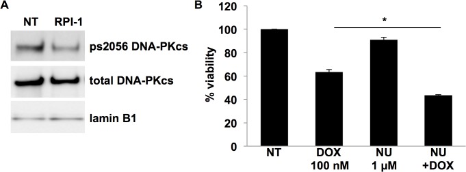 Fig 5