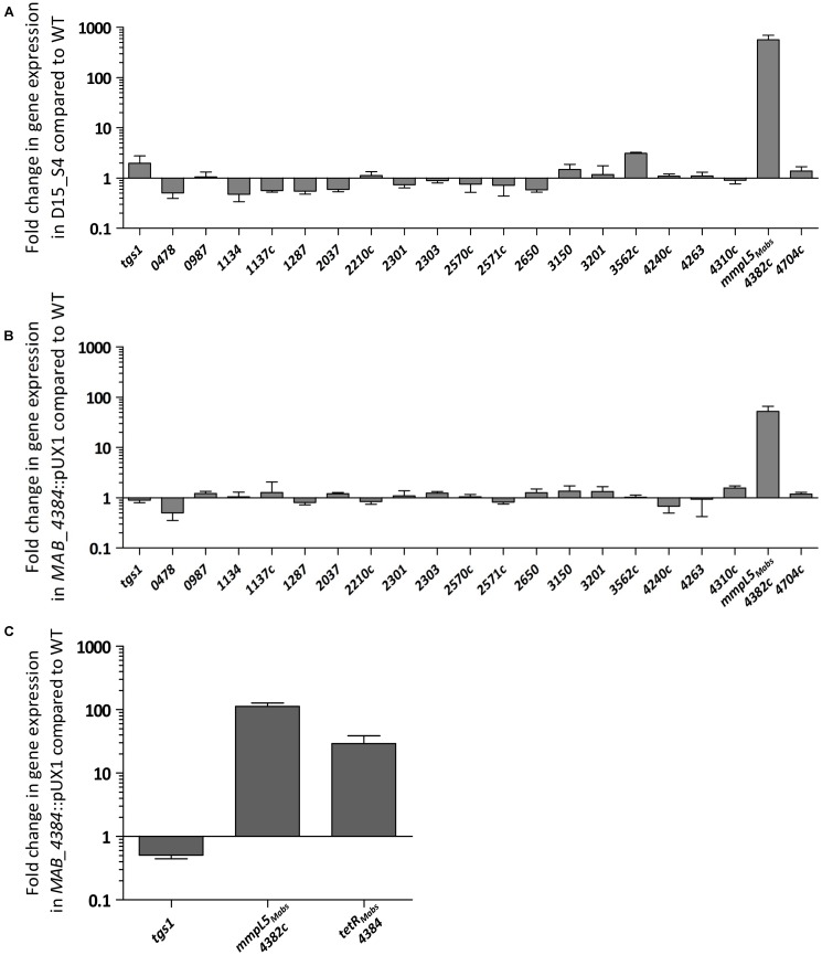 FIGURE 1