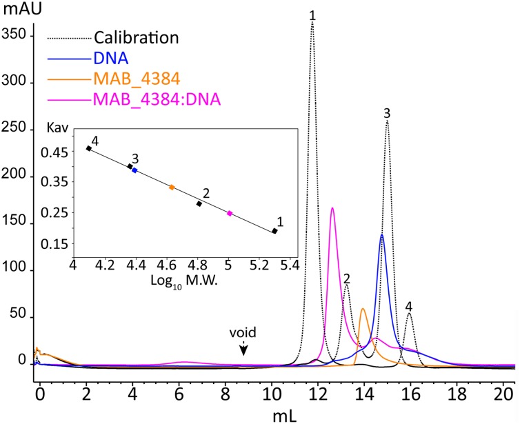 FIGURE 5