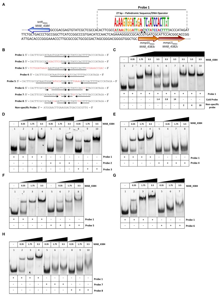 FIGURE 3