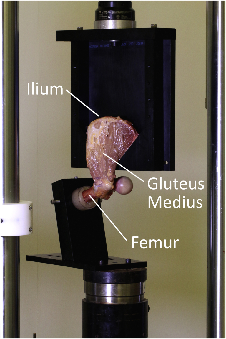Fig 4