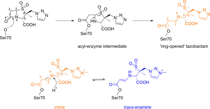 FIG 6